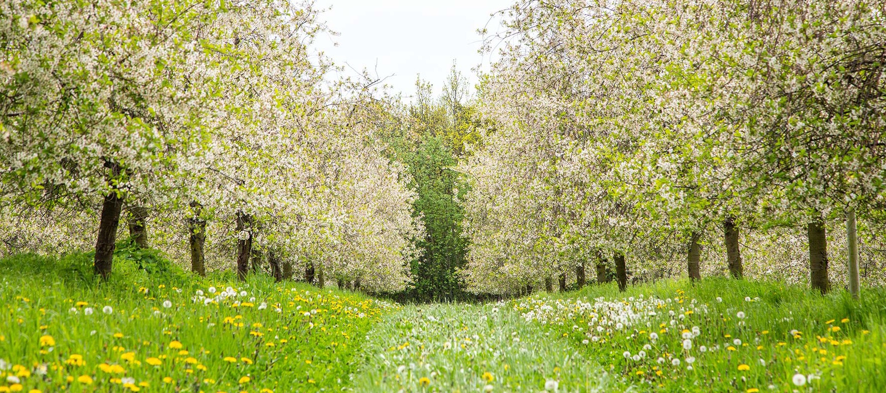 Nachhaltige Landwirtschaft