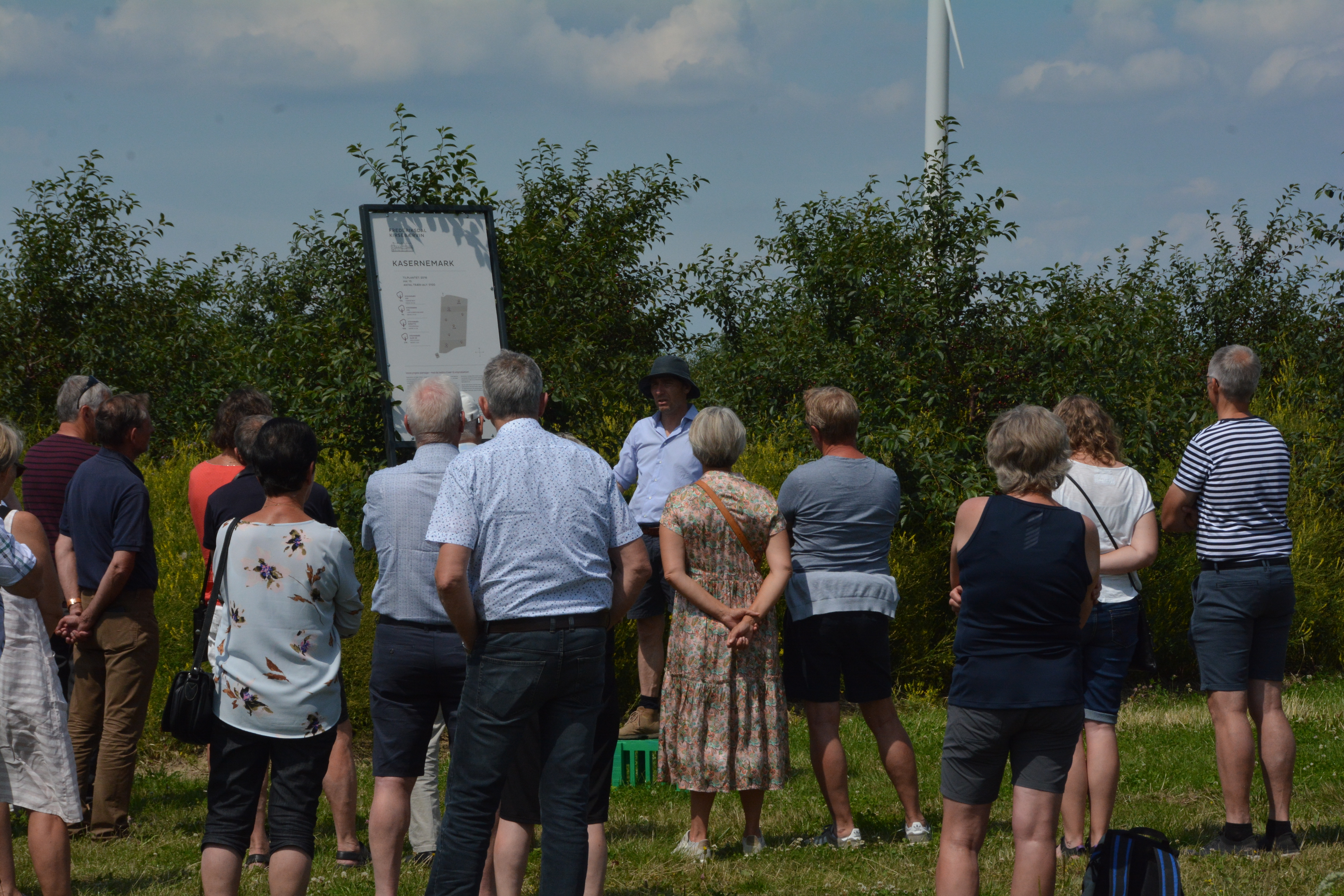 Besuchen Sie Frederiksdal Kirschweine